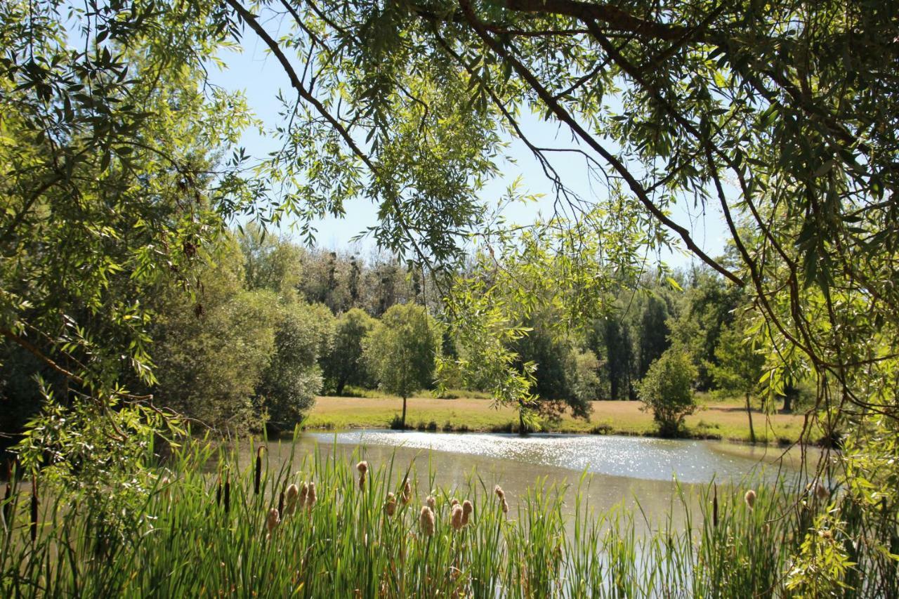 La Bergerie Du Domaine Des Buissonnets Vila Ecardenville-sur-Eure Exterior foto